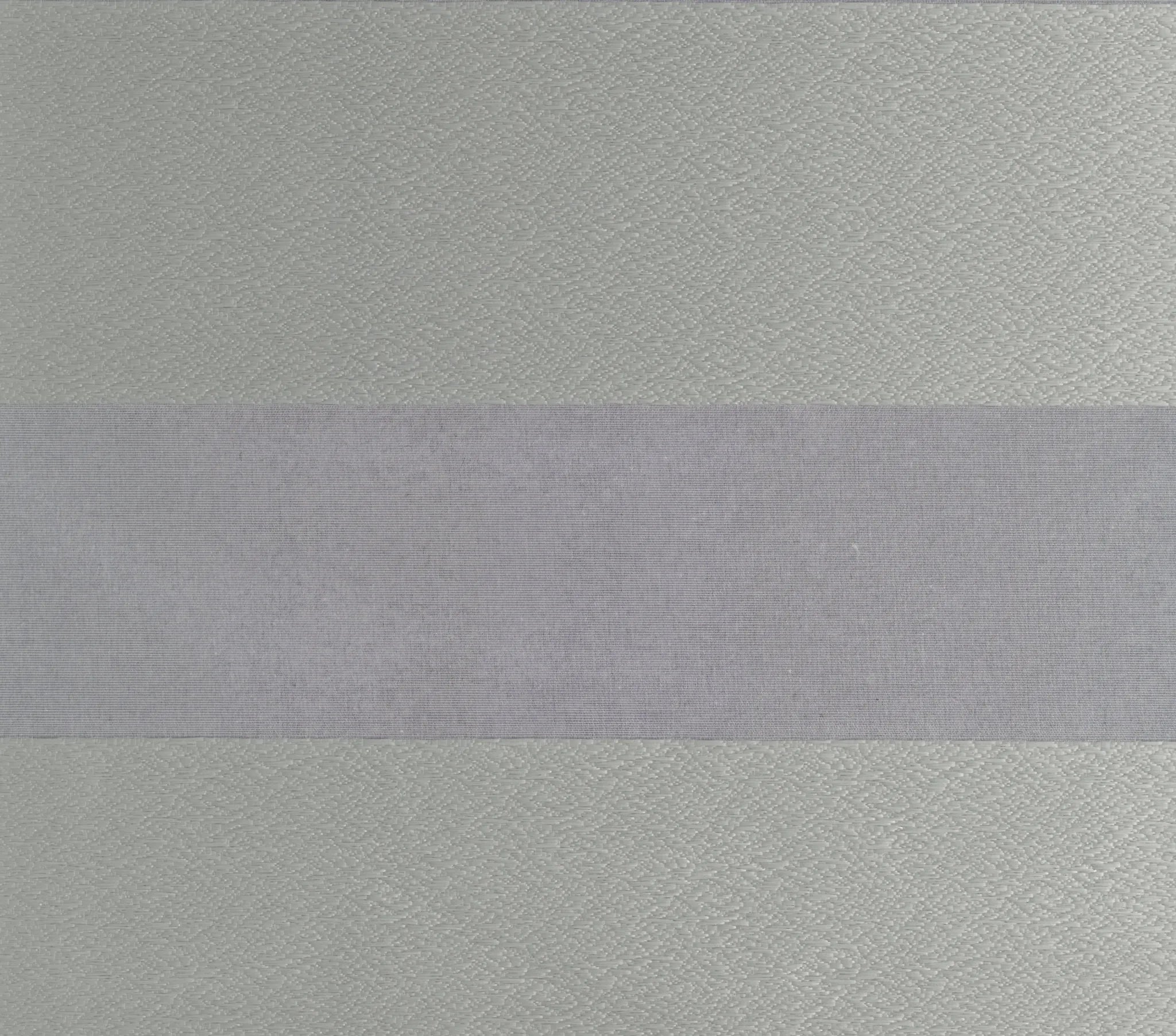 Space Zebra Blind day & night dual-layer effect demonstration