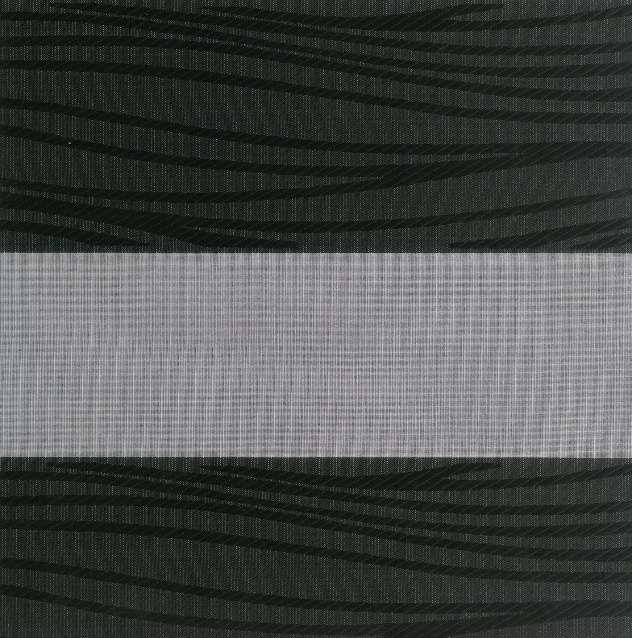 Windy Zebra Blind alternative view showing operation mechanism